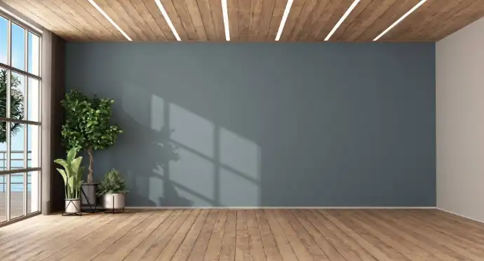 foto salón